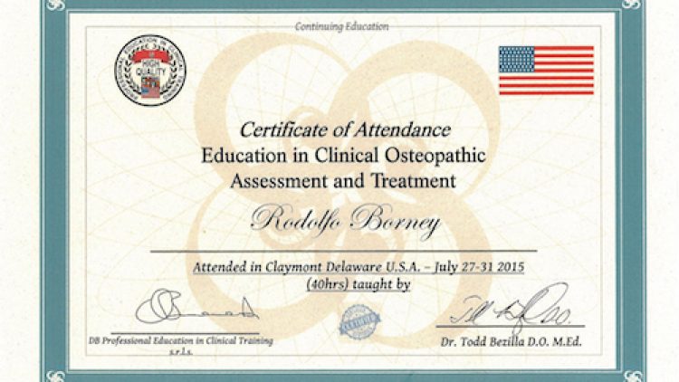 17 – Education in Clinical Osteopathic
